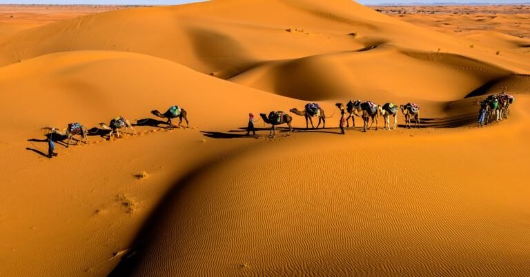 Zagora, Morocco: 15 Unforgettable Things to Do in the Gateway to the Sahara